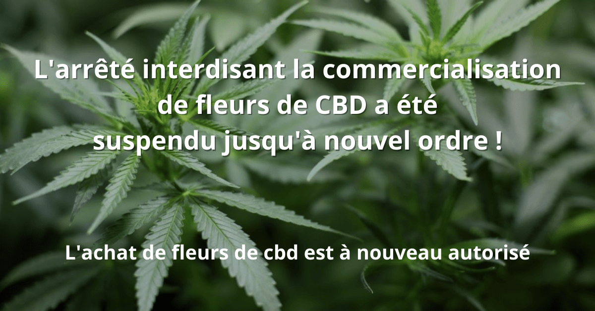 Le cbd à nouveau autorisé en france