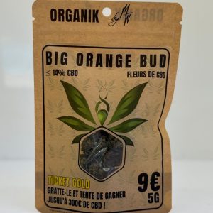 ART000512þBIG ORANGE BUD 5G